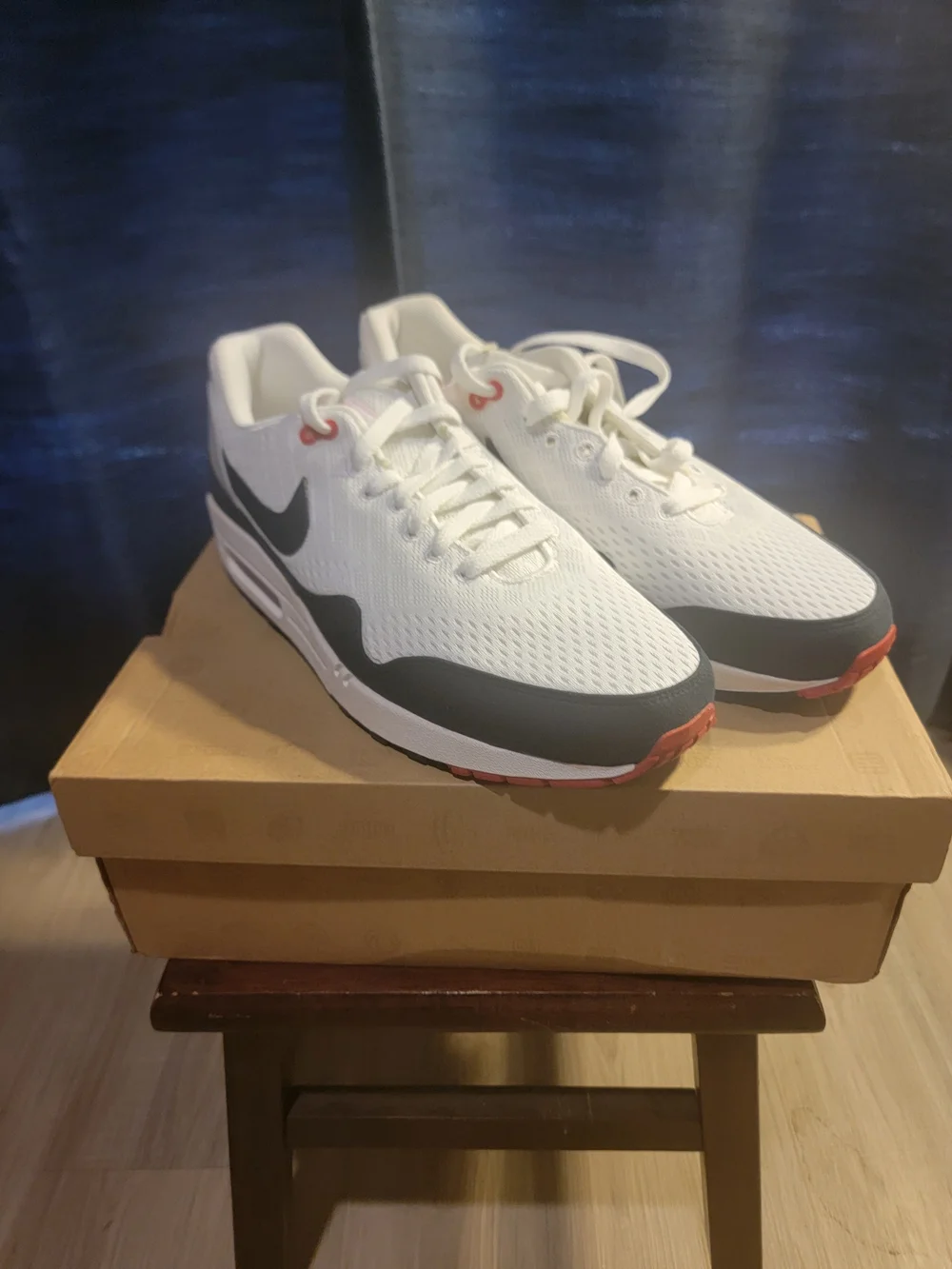 Nike Air Max 1 EM
